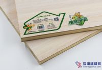 中国装修板材品牌 精材艺匠净醛抗菌生态板